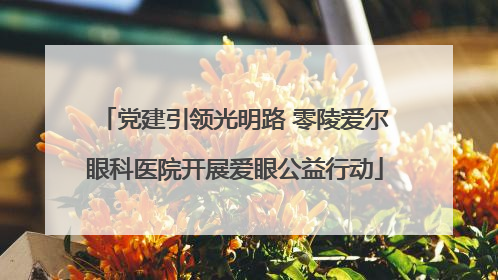 党建引领光明路 零陵爱尔眼科医院开展爱眼公益行动