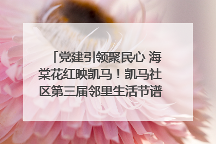 党建引领聚民心 海棠花红映凯马！凯马社区第三届邻里生活节谱写幸福新篇章