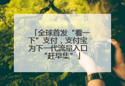 全球首发“看一下”支付，支付宝为下一代流量入口“赶早集”