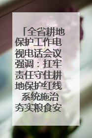 全省耕地保护工作电视电话会议强调：扛牢责任守住耕地保护红线 系统施治夯实粮食安全根基 王宁作出批示 王予波出席并讲话