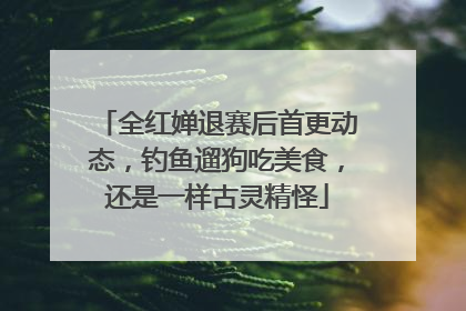 全红婵退赛后首更动态，钓鱼遛狗吃美食，还是一样古灵精怪