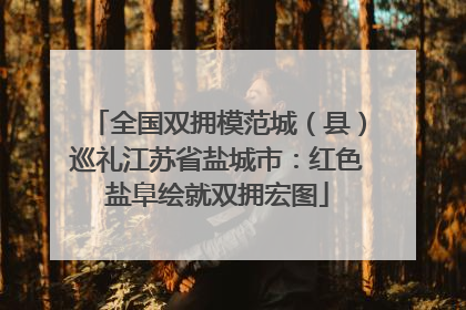 全国双拥模范城（县）巡礼江苏省盐城市：红色盐阜绘就双拥宏图