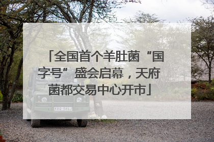 全国首个羊肚菌“国字号”盛会启幕，天府菌都交易中心开市