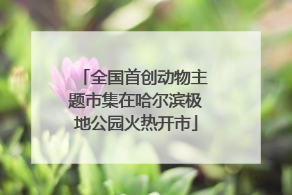 全国首创动物主题市集在哈尔滨极地公园火热开市