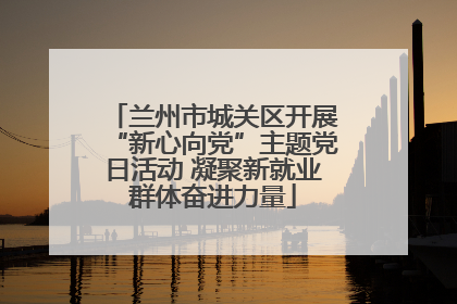 兰州市城关区开展“新心向党”主题党日活动 凝聚新就业群体奋进力量