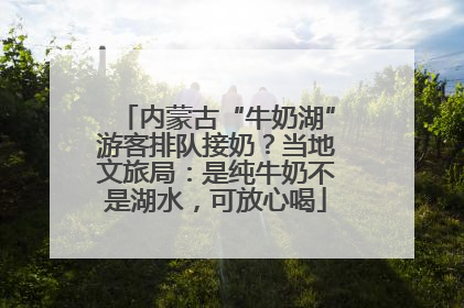 内蒙古“牛奶湖”游客排队接奶？当地文旅局：是纯牛奶不是湖水，可放心喝
