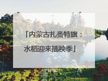 内蒙古扎赉特旗：水稻迎来插秧季