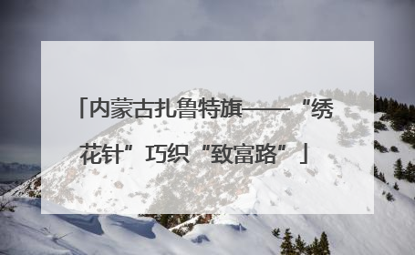 内蒙古扎鲁特旗——“绣花针”巧织“致富路”