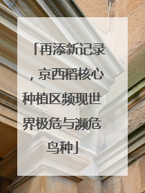 再添新记录，京西稻核心种植区频现世界极危与濒危鸟种