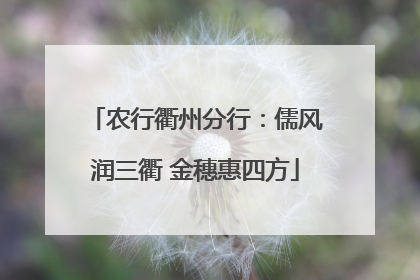 农行衢州分行：儒风润三衢 金穗惠四方