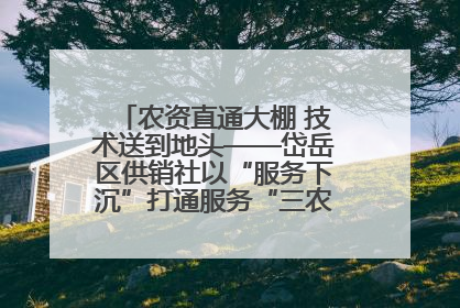 农资直通大棚 技术送到地头——岱岳区供销社以“服务下沉”打通服务“三农”最后一公里