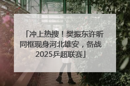 冲上热搜！樊振东许昕同框现身河北雄安，备战2025乒超联赛