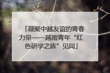 凝聚中越友谊的青春力量——越南青年“红色研学之旅”见闻