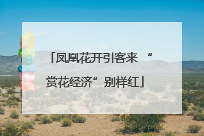 凤凰花开引客来 “赏花经济”别样红