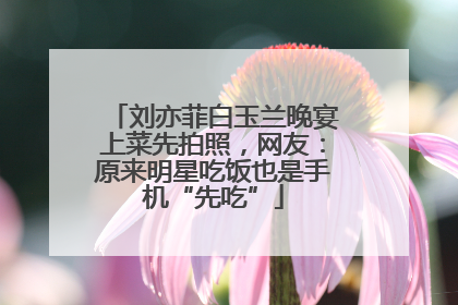 刘亦菲白玉兰晚宴上菜先拍照，网友：原来明星吃饭也是手机“先吃”
