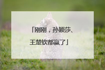 刚刚，孙颖莎、王楚钦都赢了