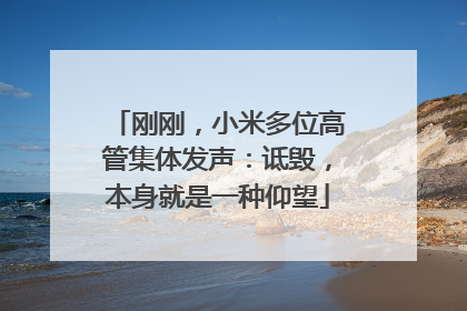 刚刚，小米多位高管集体发声：诋毁，本身就是一种仰望