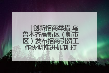 创新招商举措 乌鲁木齐高新区（新市区）发布招商引资工作协调推进机制 打造投资发展新高地