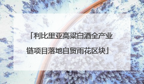 利比里亚高粱白酒全产业链项目落地自贸雨花区块