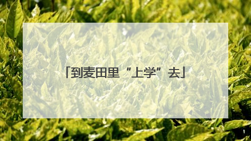 到麦田里“上学”去