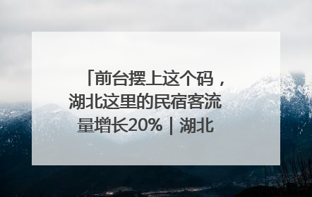 前台摆上这个码，湖北这里的民宿客流量增长20%｜湖北市场监管所的故事