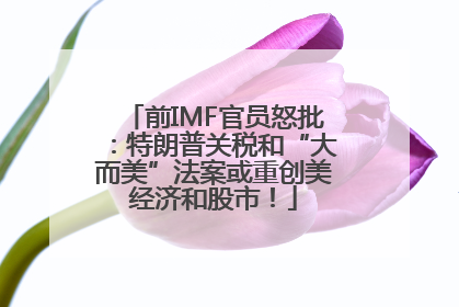 前IMF官员怒批：特朗普关税和“大而美”法案或重创美经济和股市！