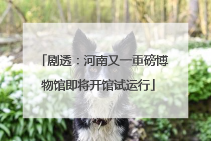 剧透：河南又一重磅博物馆即将开馆试运行