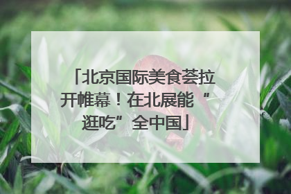 北京国际美食荟拉开帷幕！在北展能“逛吃”全中国