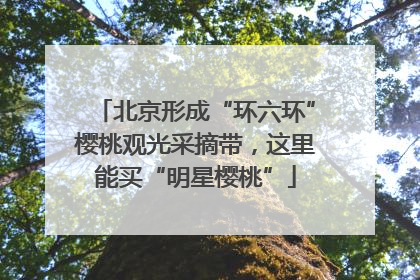 北京形成“环六环”樱桃观光采摘带，这里能买“明星樱桃”