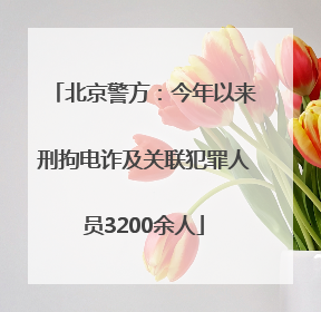 北京警方：今年以来刑拘电诈及关联犯罪人员3200余人