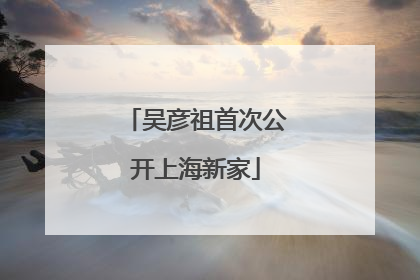 吴彦祖首次公开上海新家