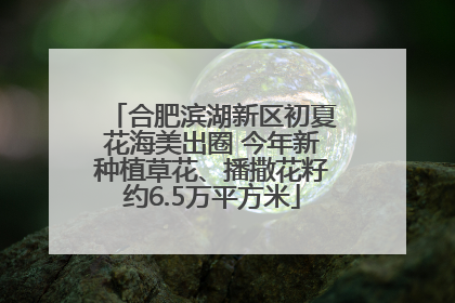 合肥滨湖新区初夏花海美出圈 今年新种植草花、播撒花籽约6.5万平方米