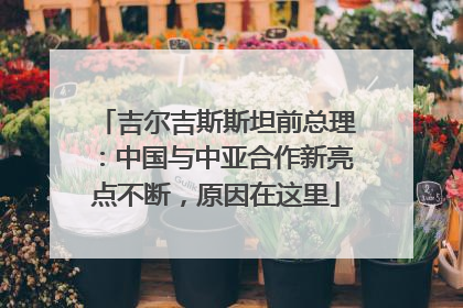 吉尔吉斯斯坦前总理：中国与中亚合作新亮点不断，原因在这里