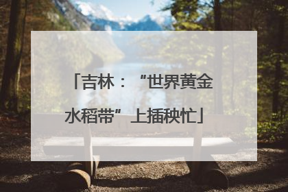 吉林：“世界黄金水稻带”上插秧忙