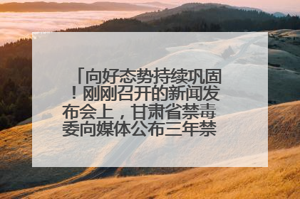 向好态势持续巩固！刚刚召开的新闻发布会上，甘肃省禁毒委向媒体公布三年禁毒工作“成绩单”