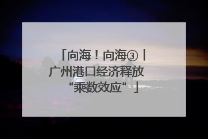 向海！向海③丨广州港口经济释放“乘数效应”