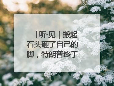 听·见｜搬起石头砸了自己的脚，特朗普终于“慌”了！