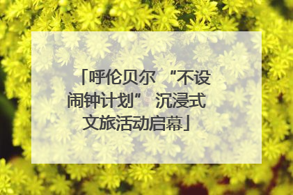 呼伦贝尔 “不设闹钟计划” 沉浸式文旅活动启幕