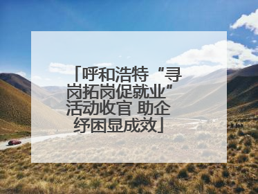 呼和浩特“寻岗拓岗促就业”活动收官 助企纾困显成效