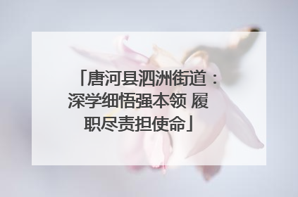 唐河县泗洲街道：深学细悟强本领 履职尽责担使命