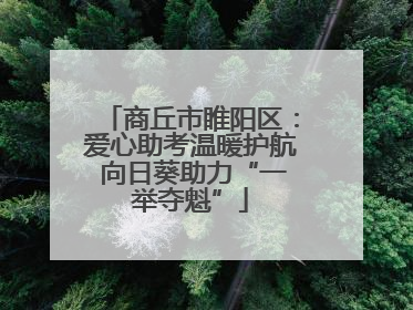 商丘市睢阳区：爱心助考温暖护航 向日葵助力“一举夺魁”
