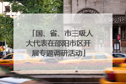 国、省、市三级人大代表在邵阳市区开展专题调研活动