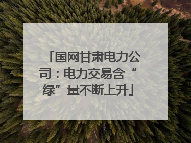 国网甘肃电力公司：电力交易含“绿”量不断上升