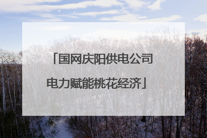 国网庆阳供电公司电力赋能桃花经济
