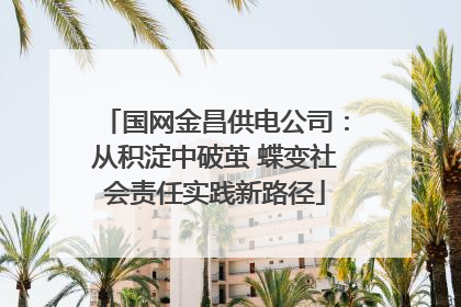 国网金昌供电公司：从积淀中破茧 蝶变社会责任实践新路径
