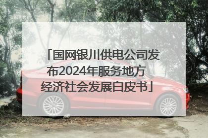 国网银川供电公司发布2024年服务地方经济社会发展白皮书