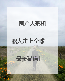 国产人形机器人走上全球最长猫道