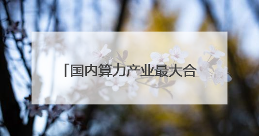 国内算力产业最大合并案落锤：海光信息拟1160亿元换股吸收合并中科曙光