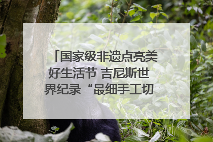 国家级非遗点亮美好生活节 吉尼斯世界纪录“最细手工切面”邀您来品！｜美好生活有“盐”味