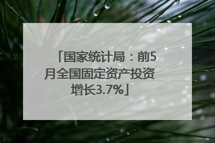 国家统计局：前5月全国固定资产投资增长3.7%